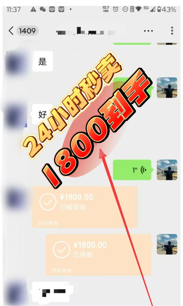 微信图片_20250528164629