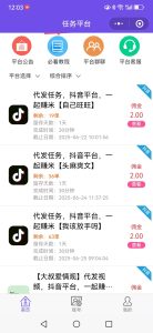 【赛扬有米】最新抖音代发小程序-首码项目网