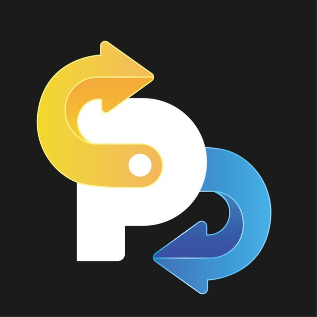 跑跑pay项目，日入500+-首码项目网
