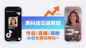 抖音黑科技云端商城 月入5位数的流量秘籍被我扒到了-首码项目网