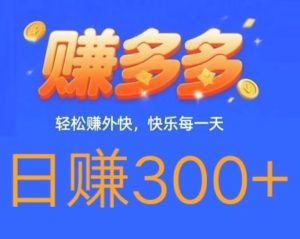 首码,赚多多,零撸代付模式,一单撸10元,日赚300+-首码项目网