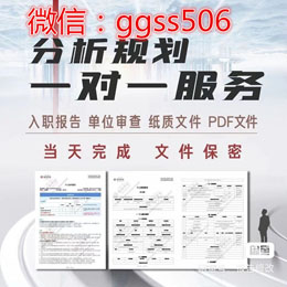 纸质征信报告pdf美化优化的封面设计如何显示-首码项目网