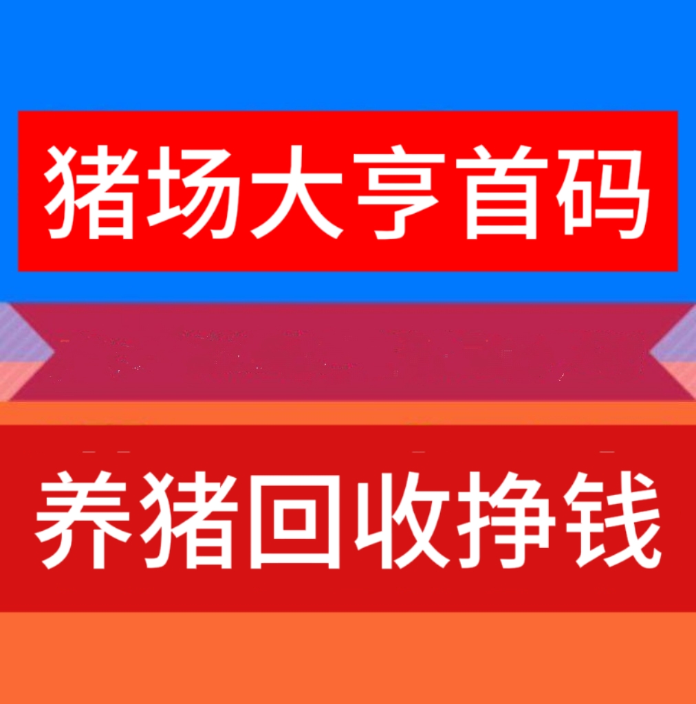 猪场大亨app最新安装，小猪永久回收，手机养猪也能挣钱-首码项目网